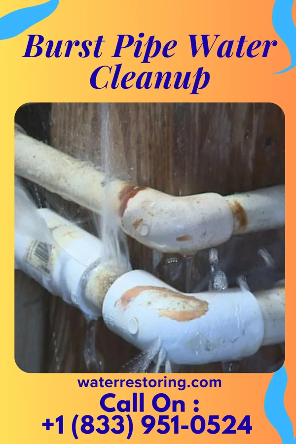 Burst Pipe Water Cleanup in Brookville, NY