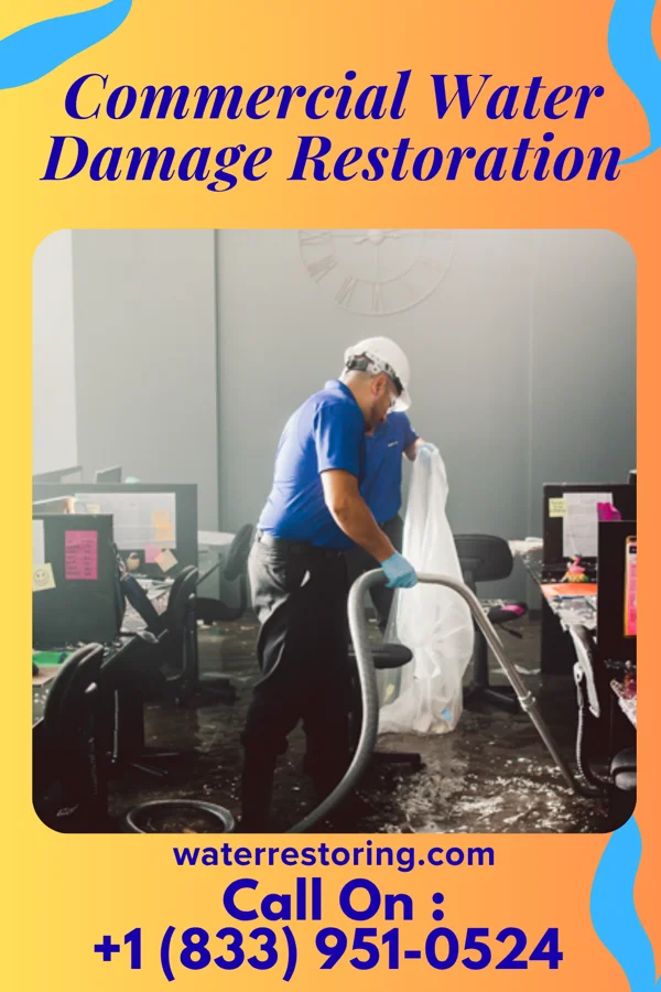 Commercial Water Damage Restoration in Brookville, NY